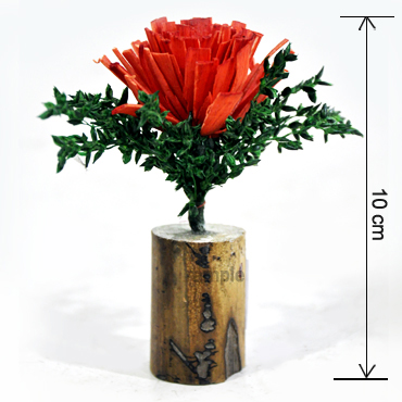 IMG-PRODUCT